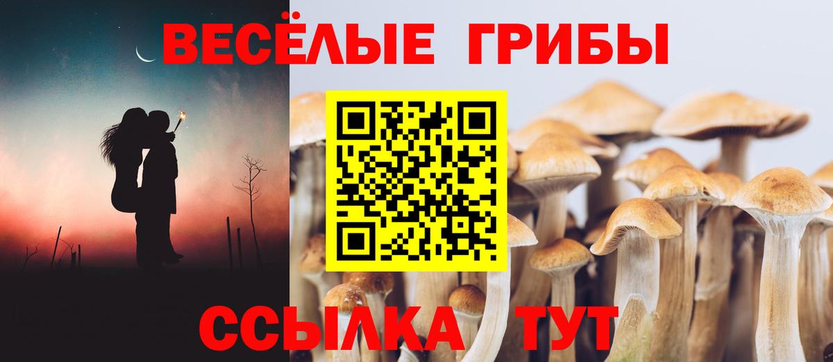 Псилоцибиновые грибы GOLDEN TEACHER  Псилоцибиновые грибы MAGIC MUSHROOMS  Вход с VPN  Дедовск 