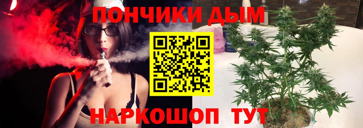 Бошки Шишки ГИДРОПОН Дедовск